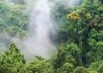 Climate Tipping Points: Earth’s Hidden Triggers