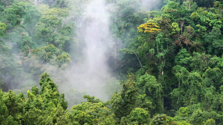 Climate Tipping Points: Earth’s Hidden Triggers