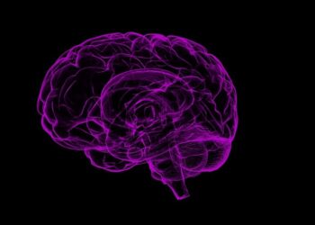 Brain Plasticity: Rewiring Your Inner Map