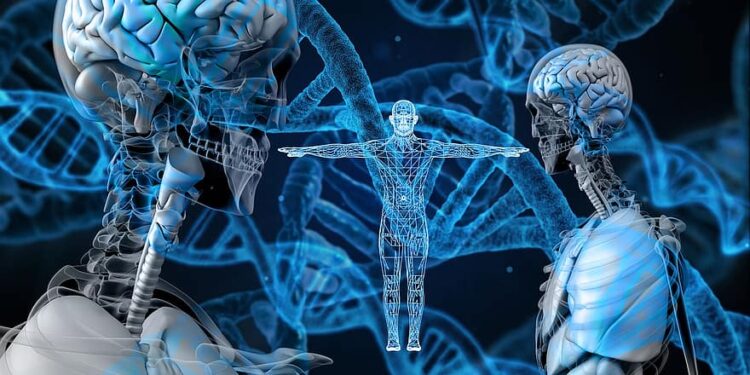 CRISPR: Remaking Life’s Genetic Code