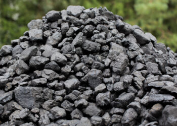 Carbon Cycle: Restoring Planetary Balance