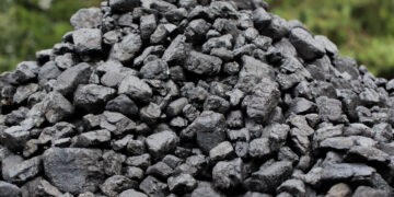 Carbon Cycle: Restoring Planetary Balance