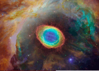 Black Holes: Gravity’s Ultimate Singularity