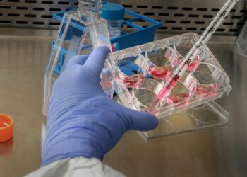 person holding syringe near container